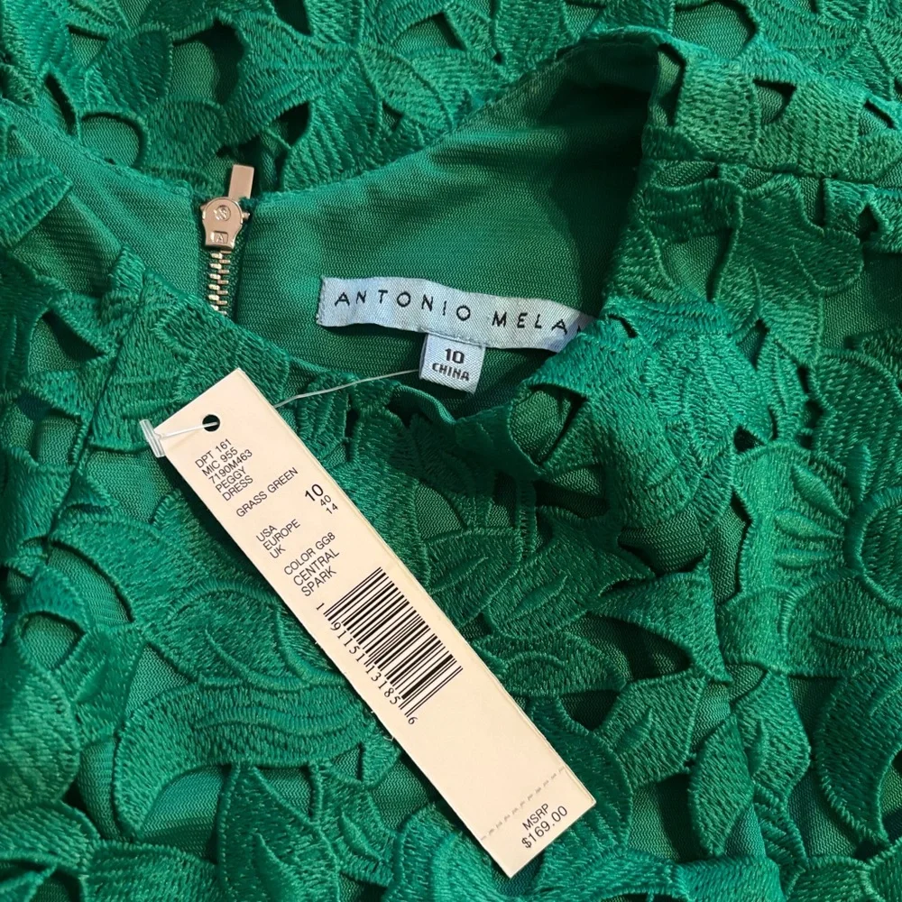 NWT Elegant Grass Green Lace Dress by Antonio Melani size 10. - Picture 3 of 4
